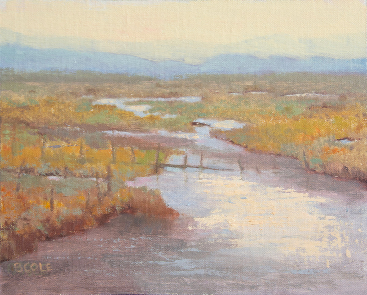 Beth Cole "Free Flow"