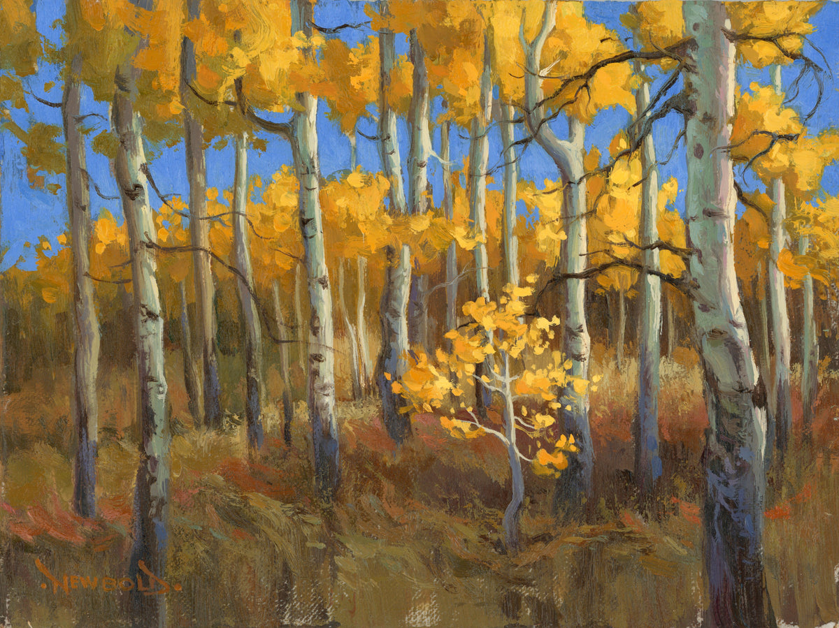 Greg Newbold "Aspenglow"