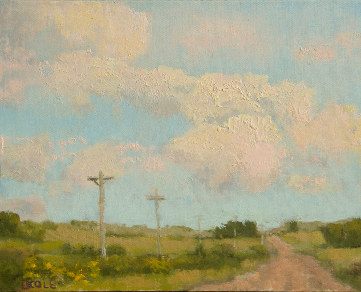 Beth Cole "This Good Land"