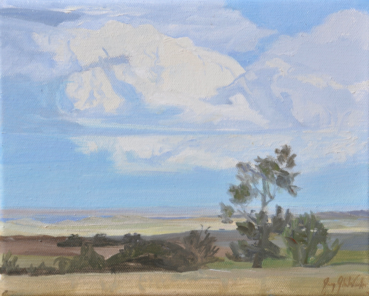 Jenny Wuerker "Evening Storm Cloud"