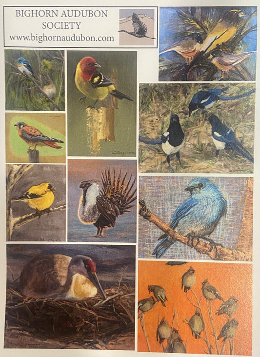 Bighorn Audubon Society Notecards