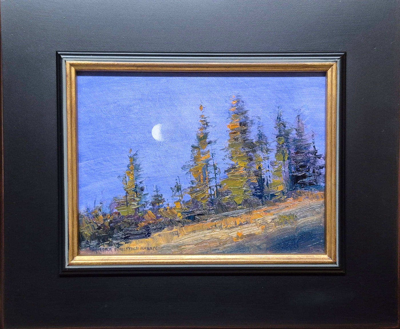 Sandra Harris "Moonset in the Pines"