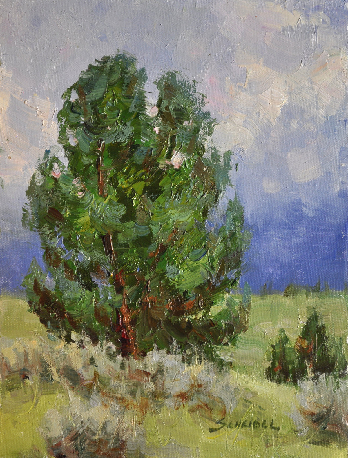 Greg Scheibel "Overcast"