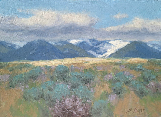 "Cloud Shadows" Scott Yeager
