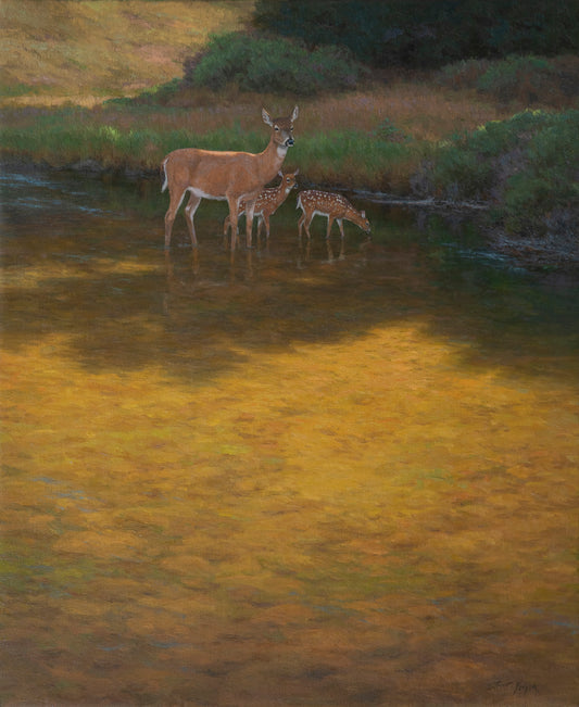 "Cool Summer Shade" Scott Yeager