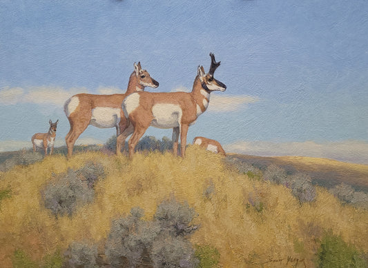 "Sharpest Eyes on the Prairie" Scott Yeager