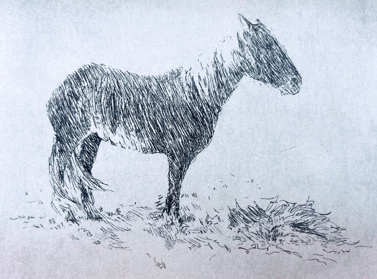 Chessney Sevier "Wyoming Winter"