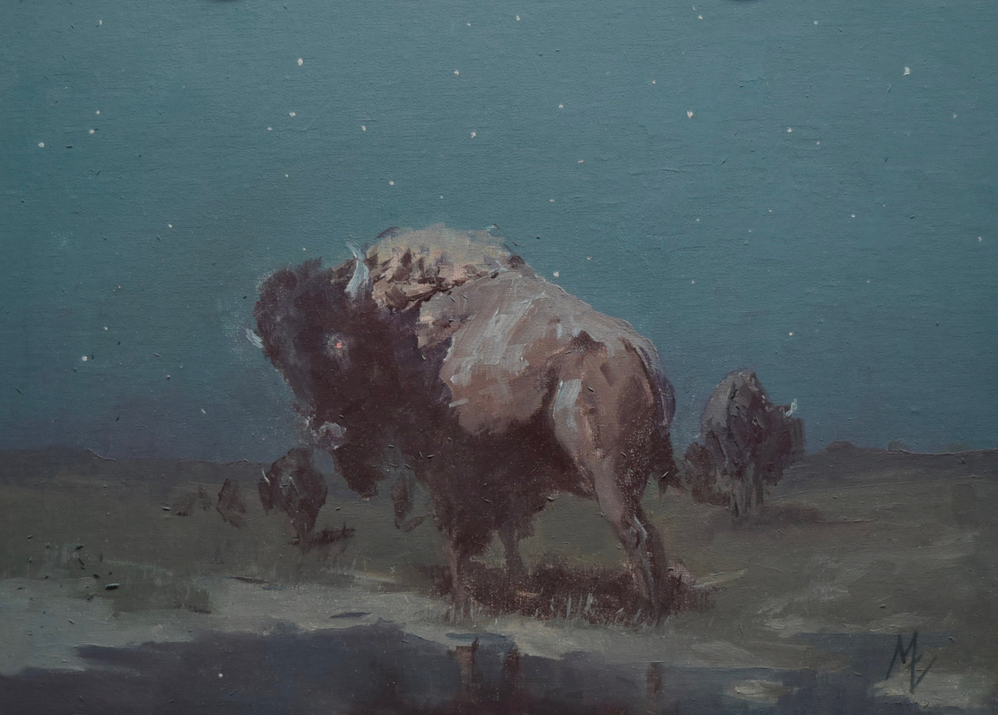 Michael Untiedt "Study; Buffalo Dream"