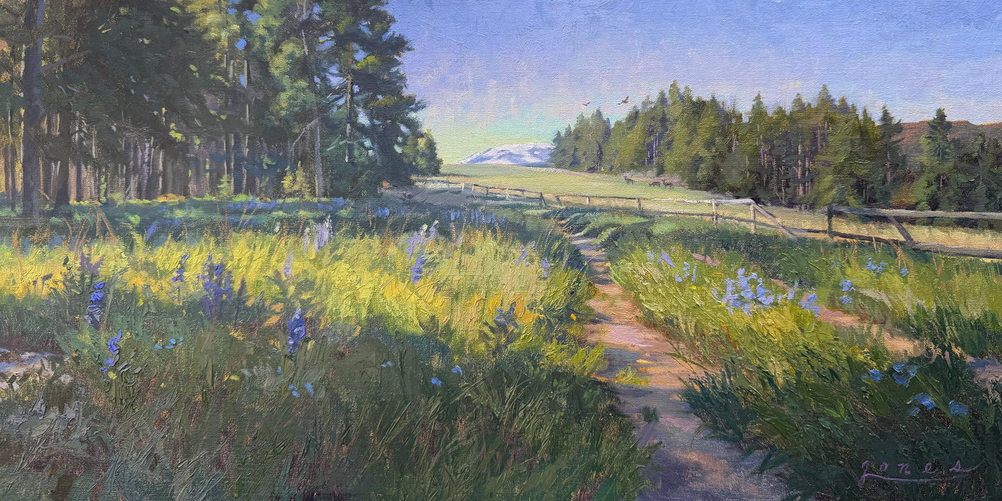 Jacqueline Jones "Wildflower Passage"