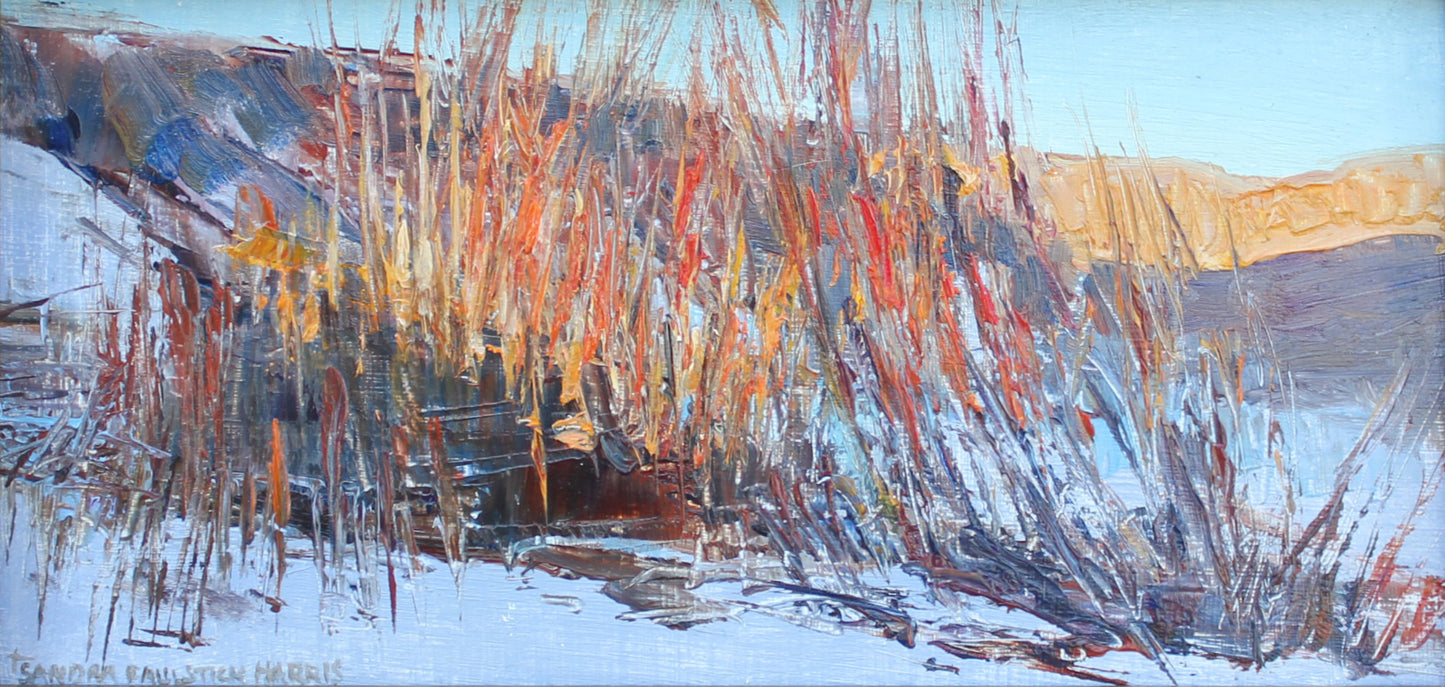 Sandra Harris "Windswept"