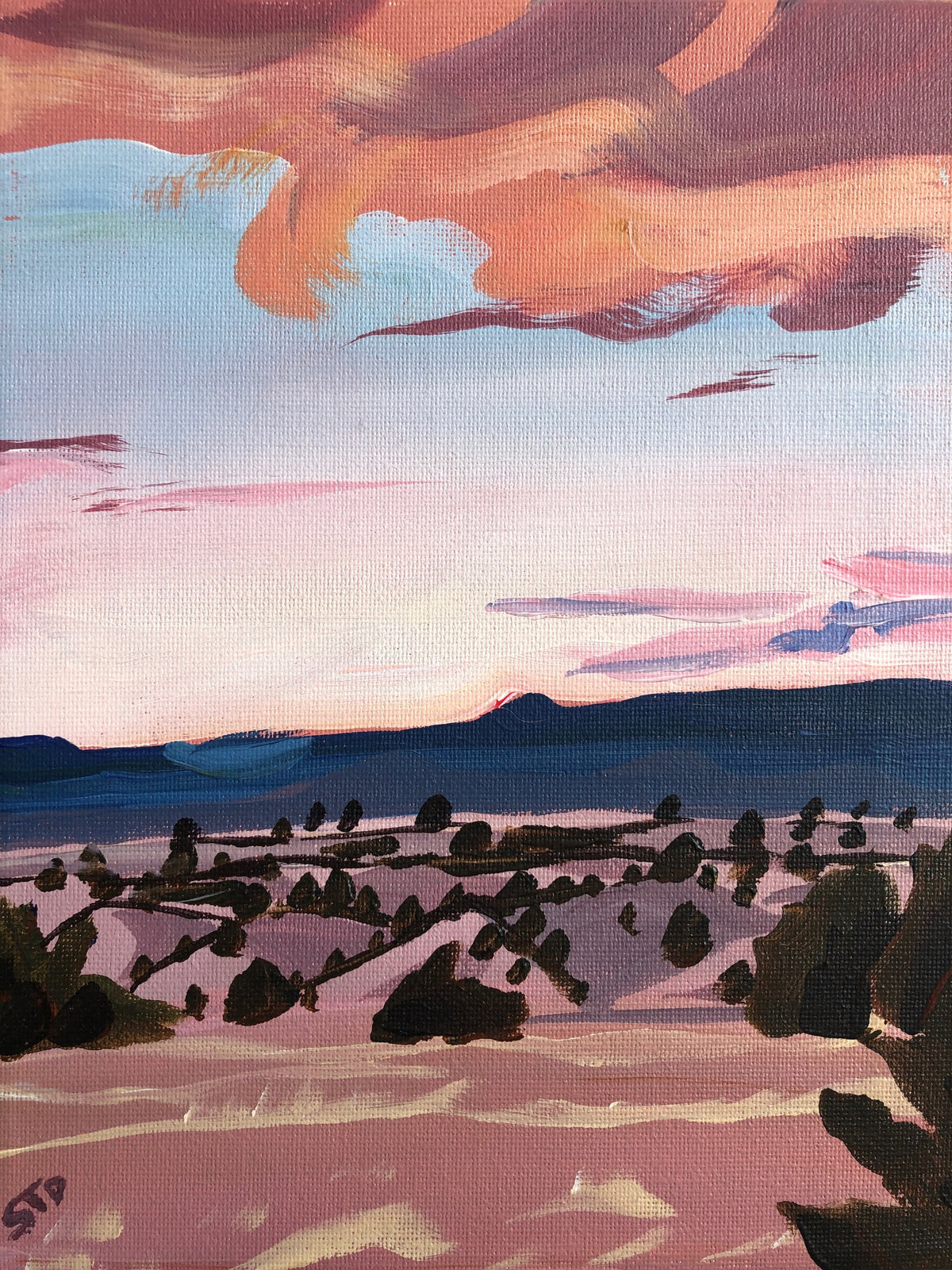 Sarah Drobnitch "Medanales Sunset"