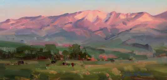 "Pink Light" by Jessica Garrett-Lawrence