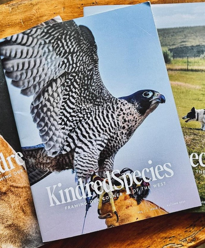 KindredSpecies 1.3