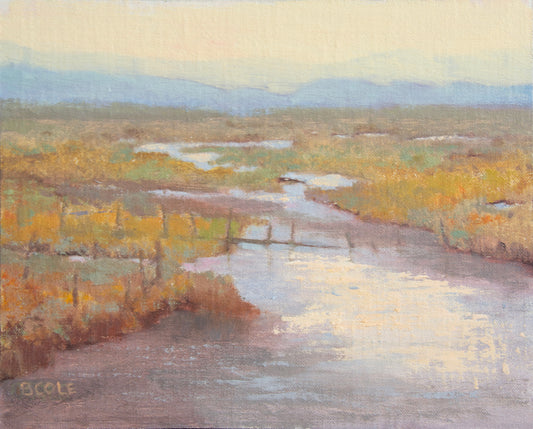 Beth Cole "Free Flow"