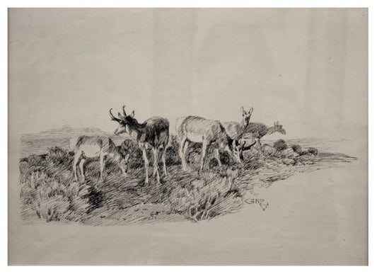 Antelope Grazing Print by Charles M. Russell