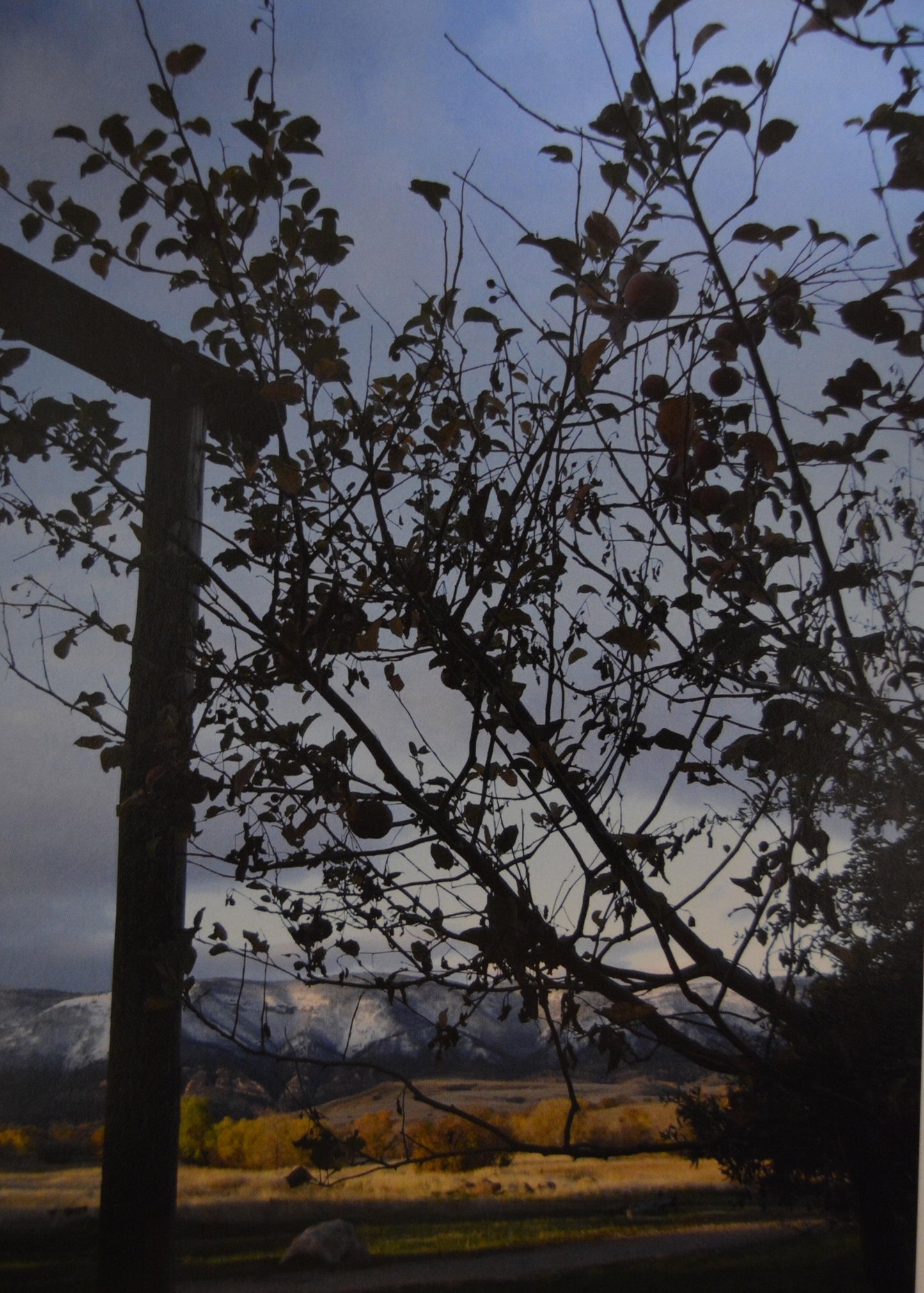 The Brinton Museum Fall Photo Postcard
