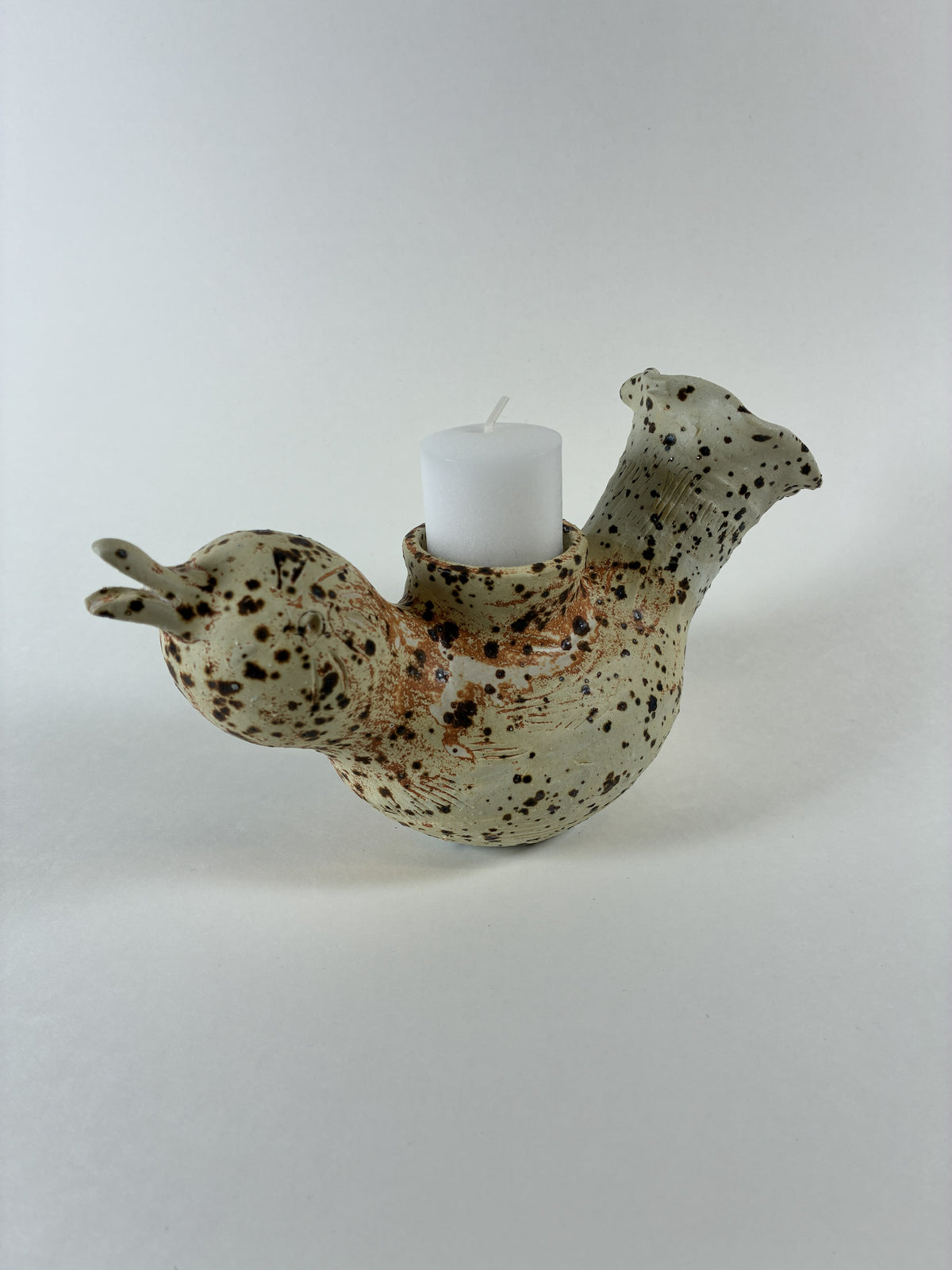 Courtney Caplan "Diversity"