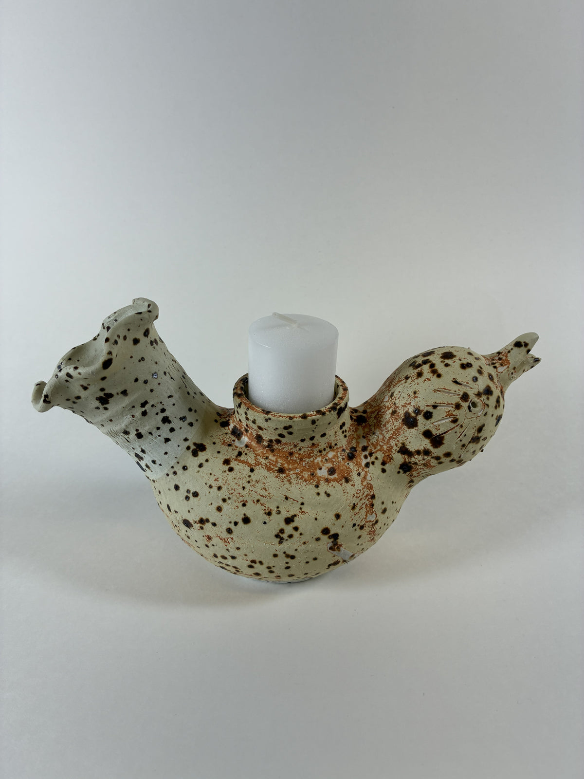 Courtney Caplan "Equity"