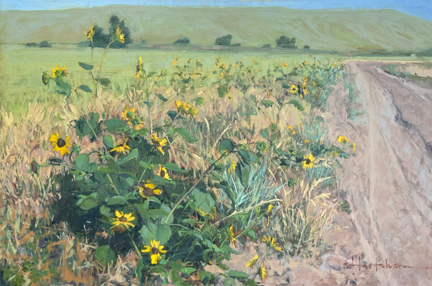 Stephanie Hartshorn "Wild Company"