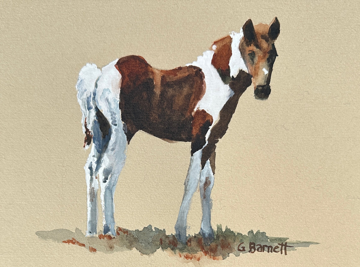 Gayle Barnett "A New Beginning"