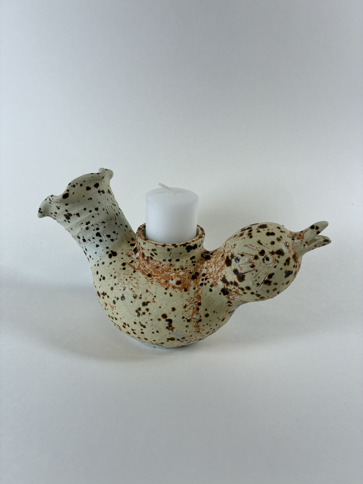 Courtney Caplan "Inclusion"