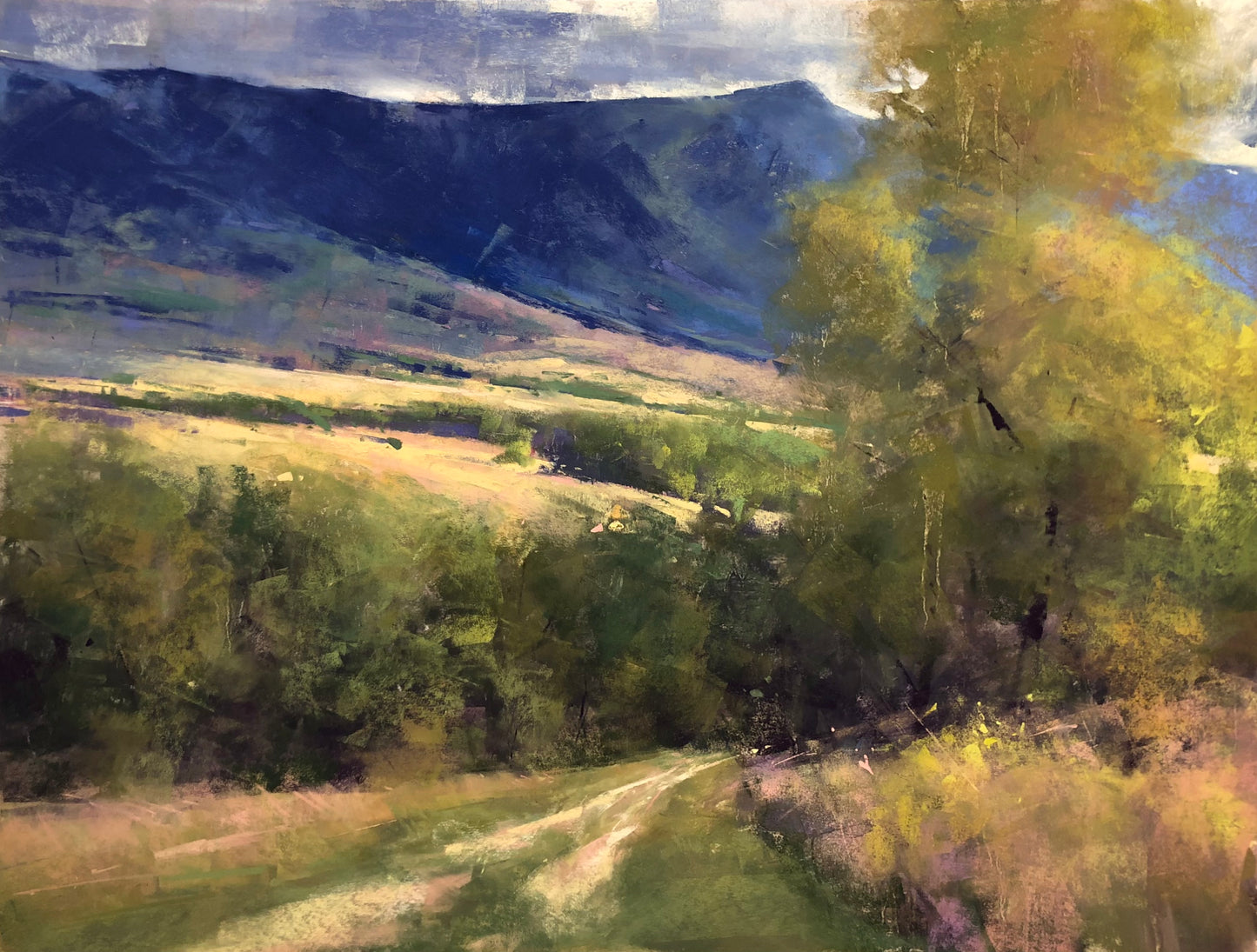 Jacob Aguiar "Fall Begins in the Bighorns"