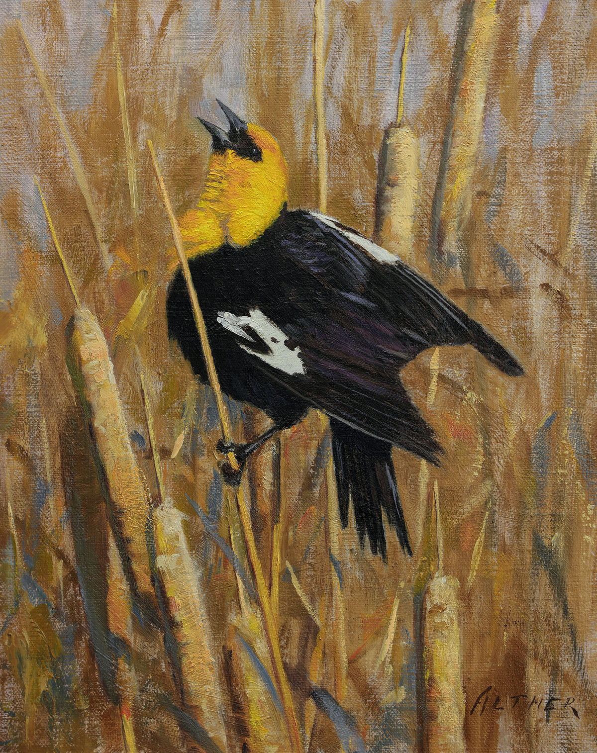 William Alther "Marsh Declaration"