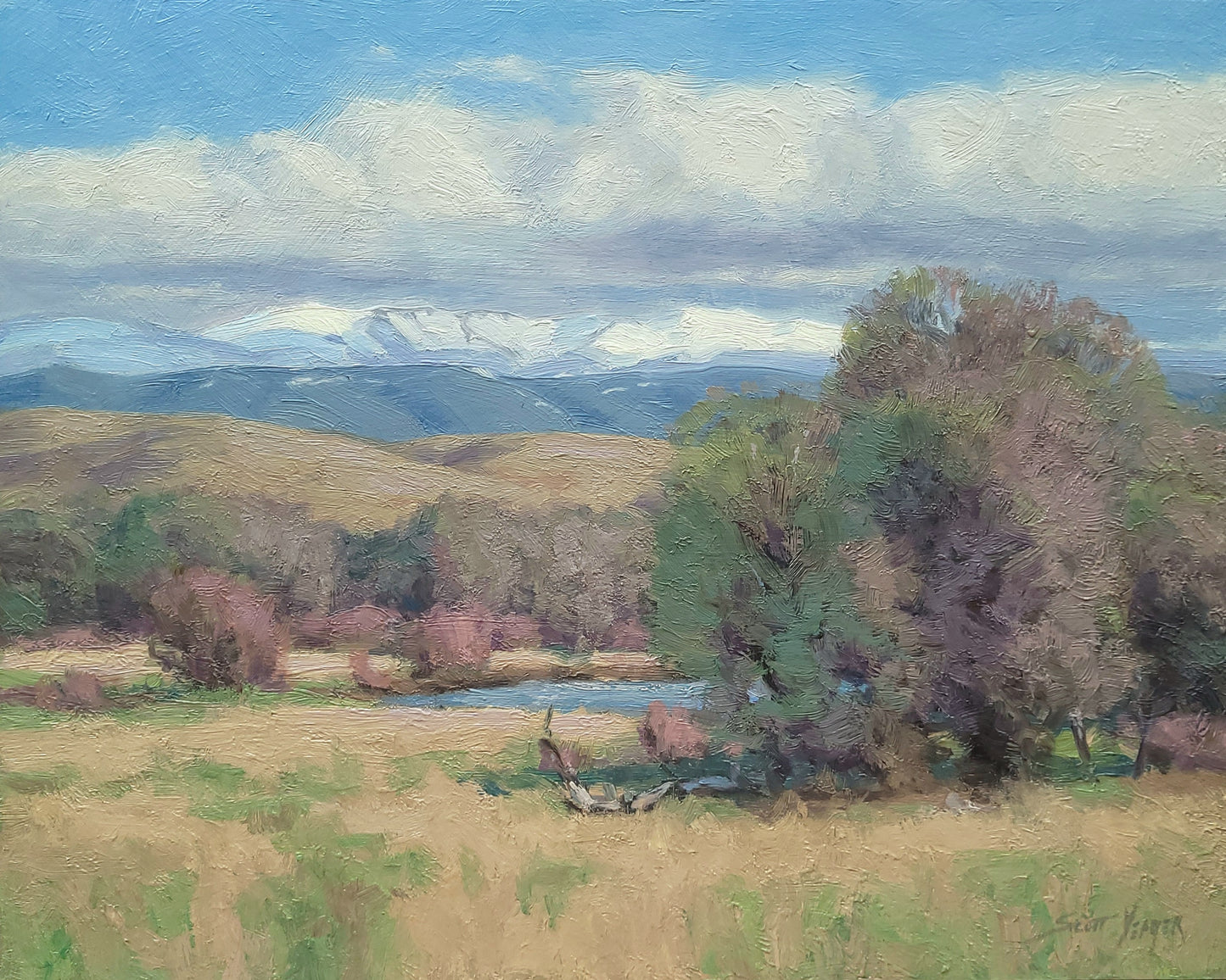 "Spring in the Valley" Scott Yeager