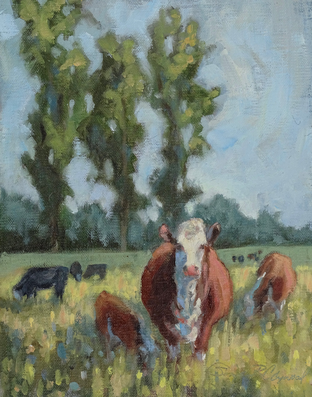 Sonja Caywood "Summer Solace"