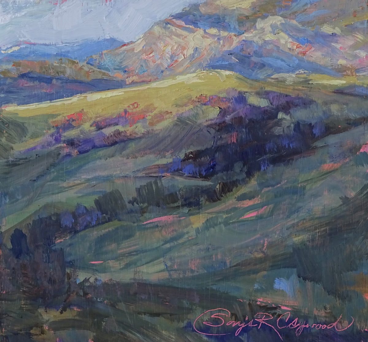 Sonja Caywood "Sunrise on West Pass"