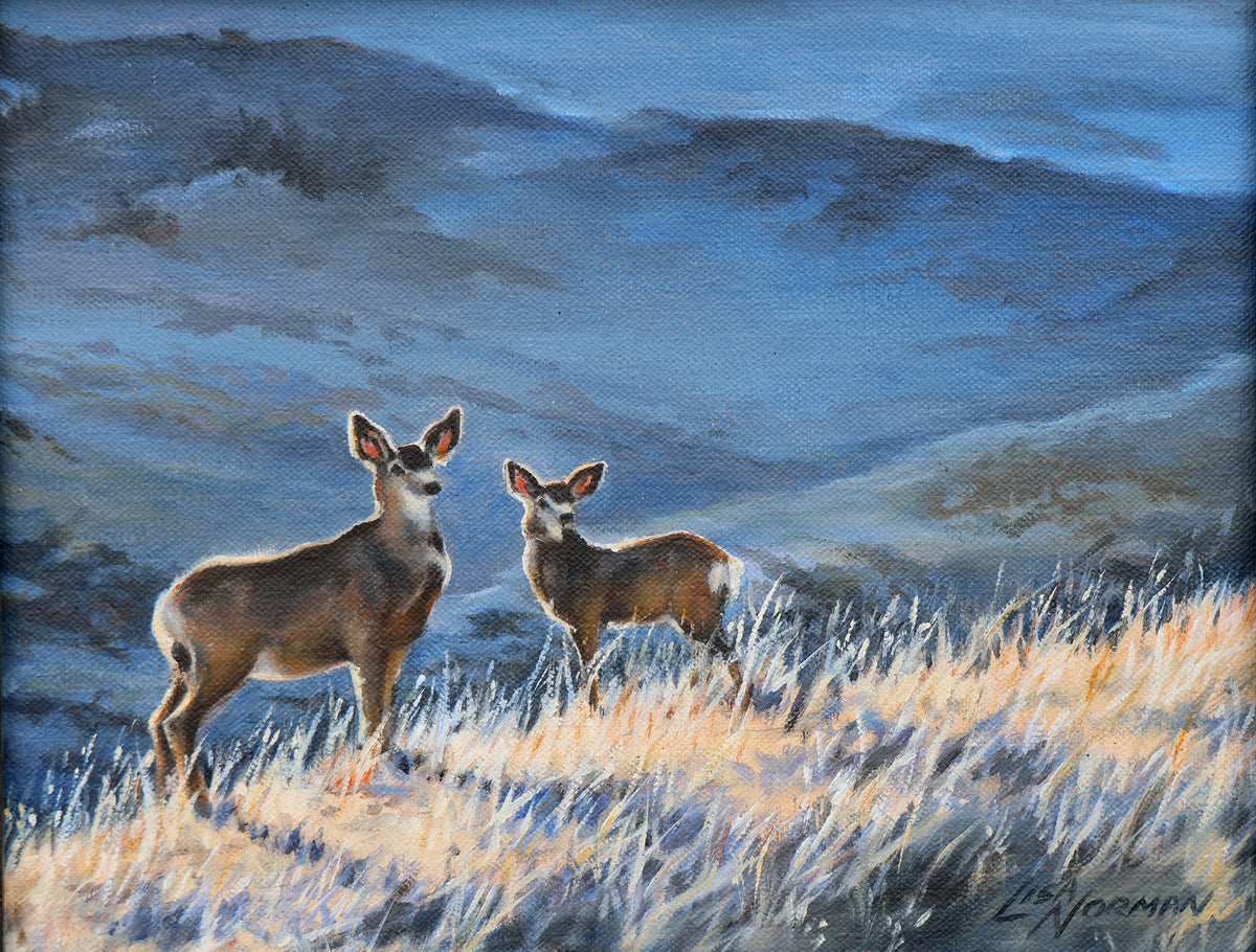 Lisa Norman "White Tail Blues"