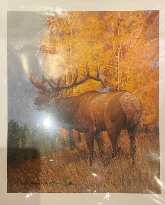 Autumn Love Song by John Potter