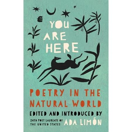 You Are Here by Jenny Lawson