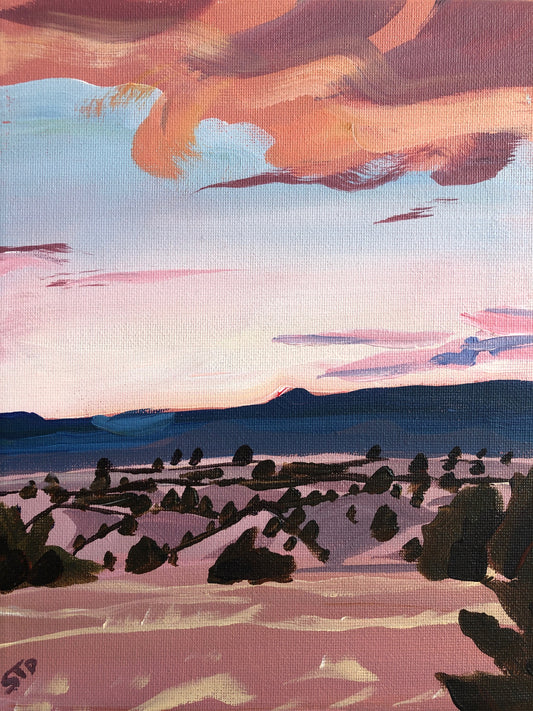 Sarah Drobnitch "Medanales Sunset"